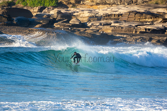 Whale Beach
