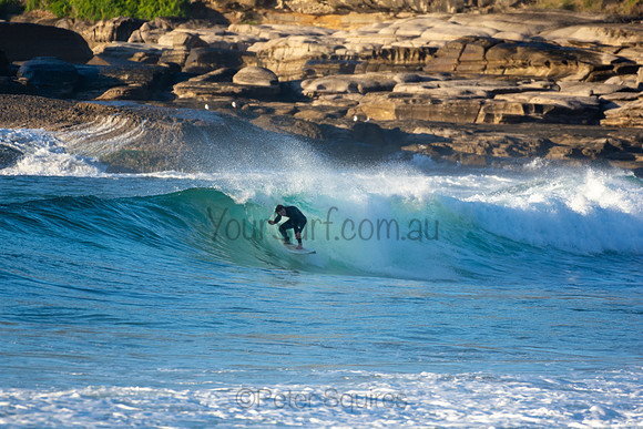 Whale Beach