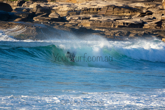 Whale Beach