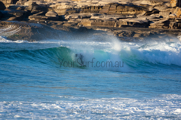 Whale Beach