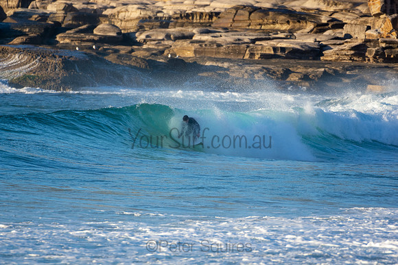 Whale Beach