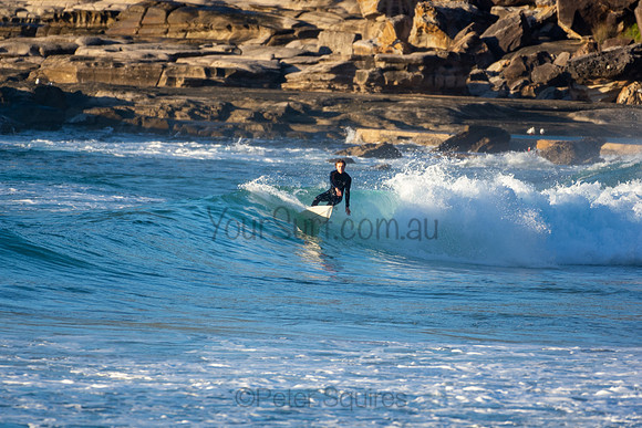 Whale Beach