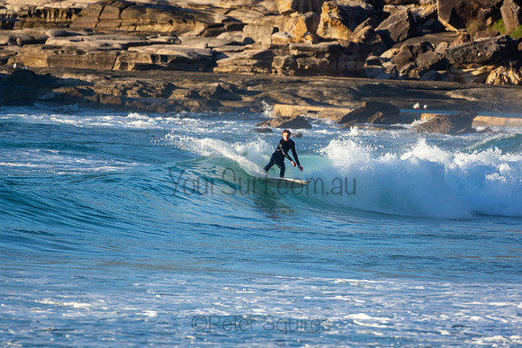 Whale Beach