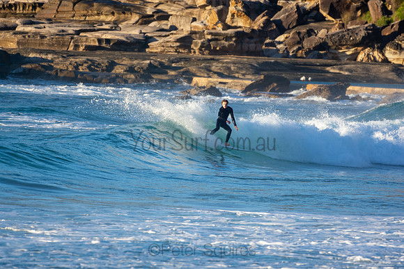 Whale Beach