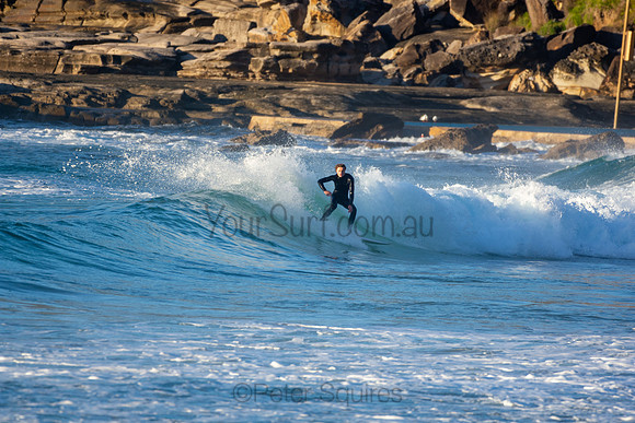 Whale Beach
