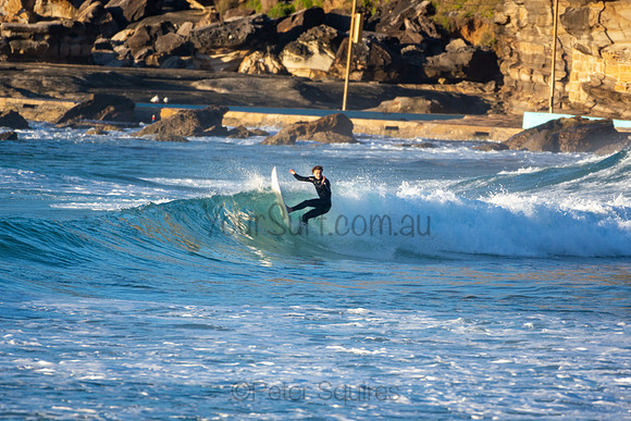 Whale Beach