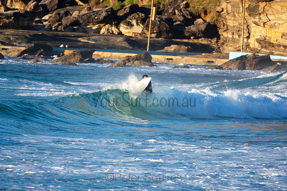 Whale Beach