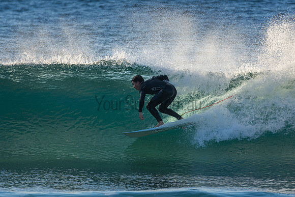 Whale Beach