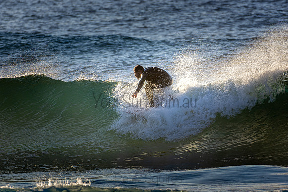 Whale Beach