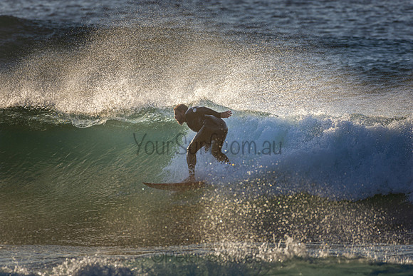Whale Beach