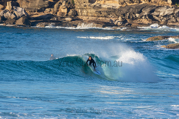 Whale Beach