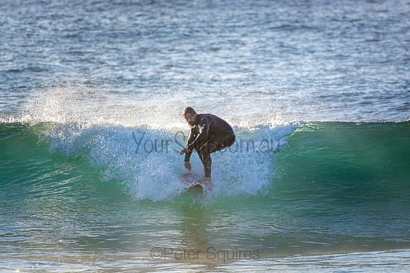 Whale Beach
