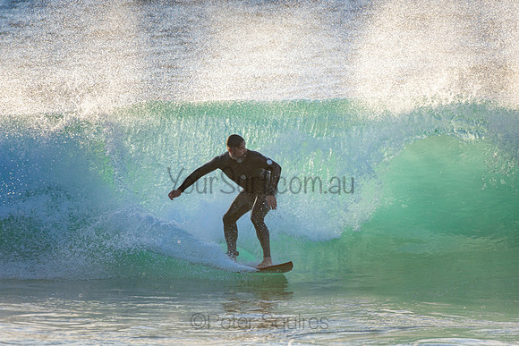 Whale Beach