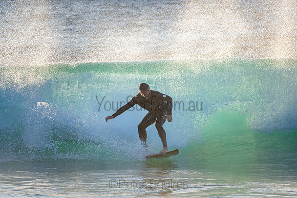 Whale Beach