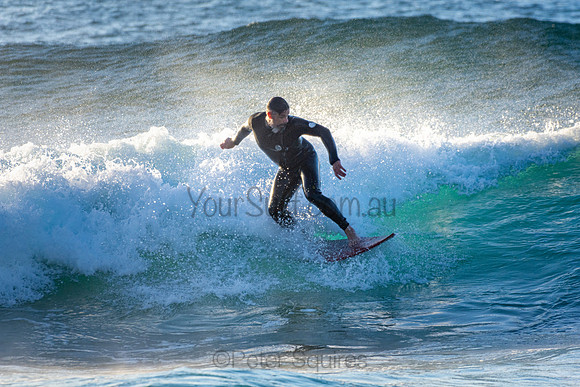 Whale Beach