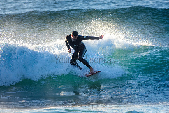 Whale Beach