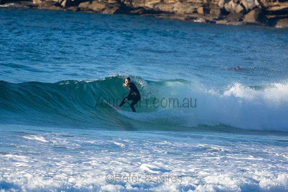 Whale Beach