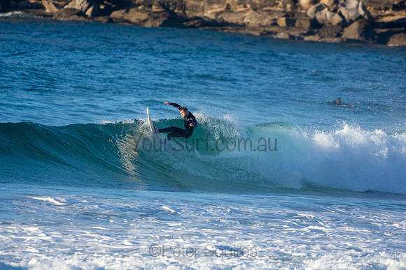 Whale Beach