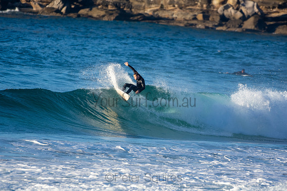 Whale Beach