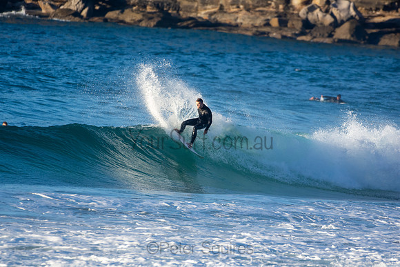 Whale Beach