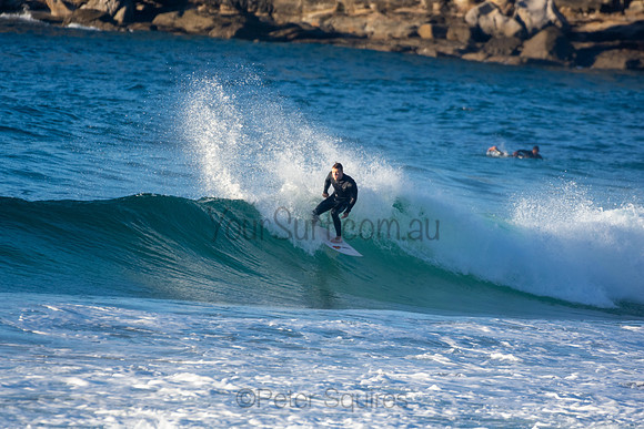 Whale Beach