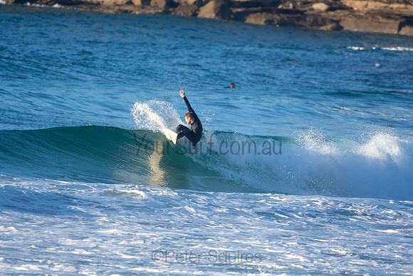 Whale Beach