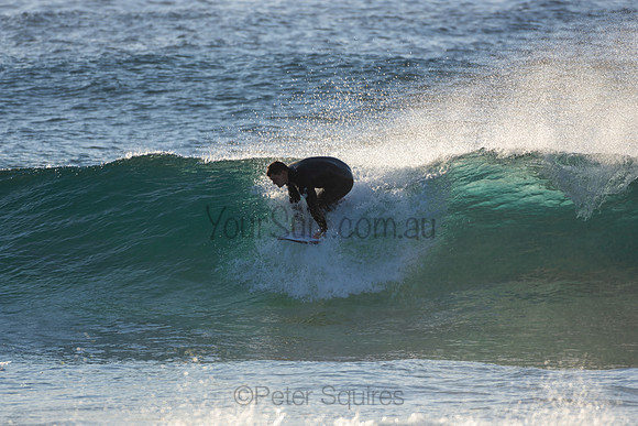 Whale Beach