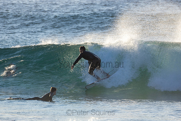 Whale Beach