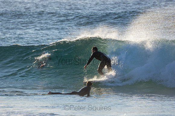 Whale Beach