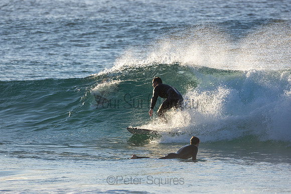 Whale Beach