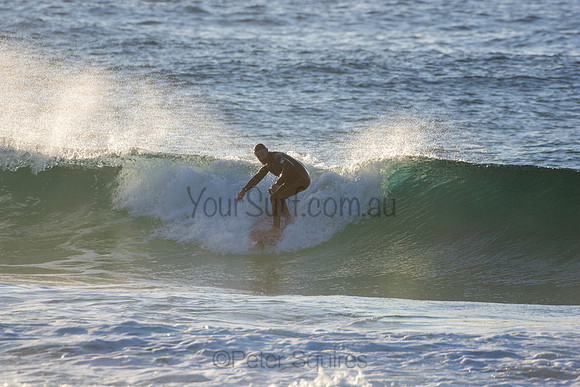 Whale Beach