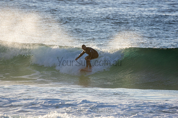Whale Beach
