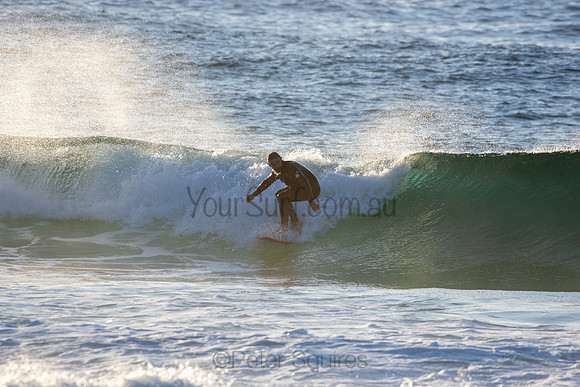 Whale Beach