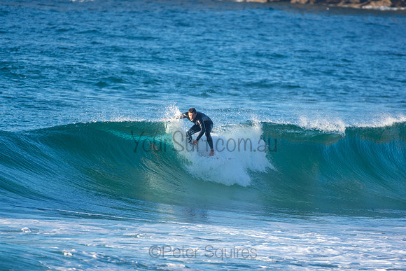 Whale Beach