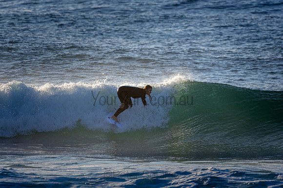 Whale Beach