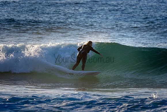 Whale Beach