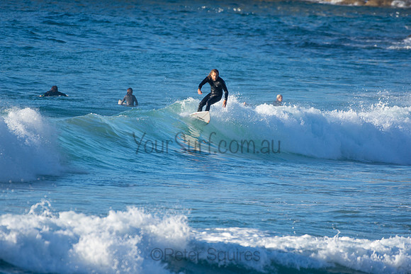 Whale Beach