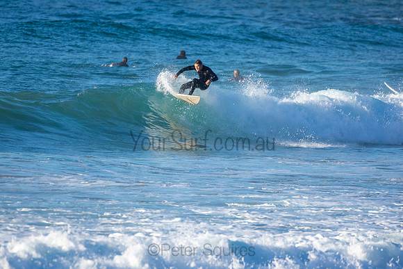 Whale Beach