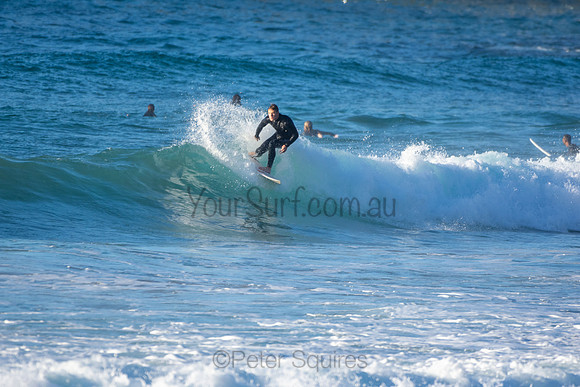 Whale Beach