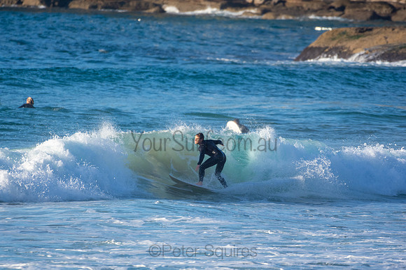 Whale Beach