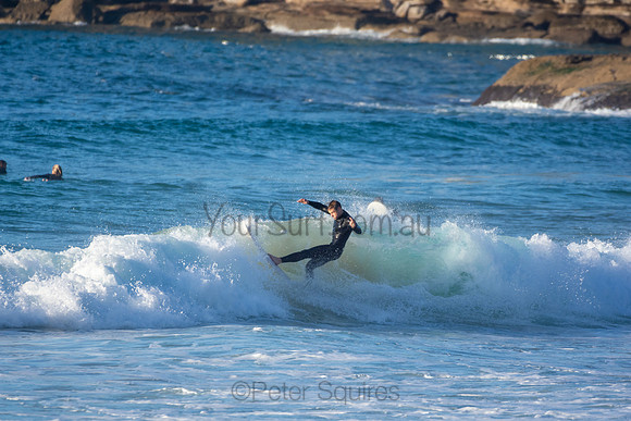 Whale Beach