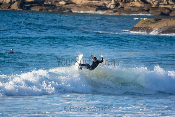 Whale Beach