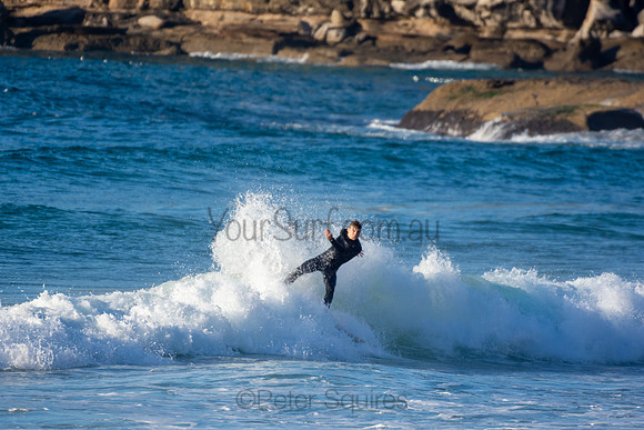 Whale Beach