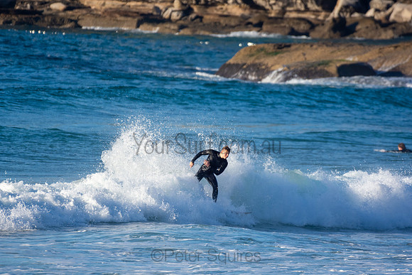 Whale Beach