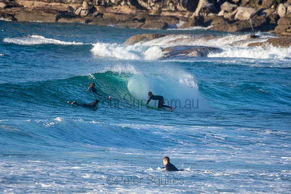 Whale Beach