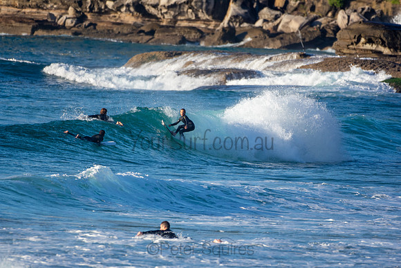 Whale Beach