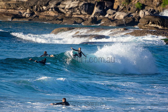 Whale Beach