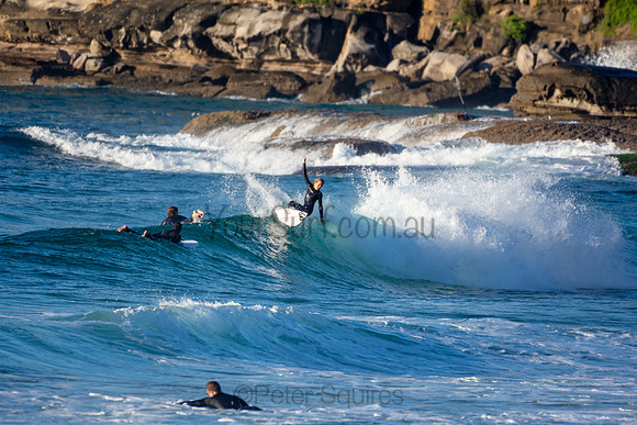 Whale Beach