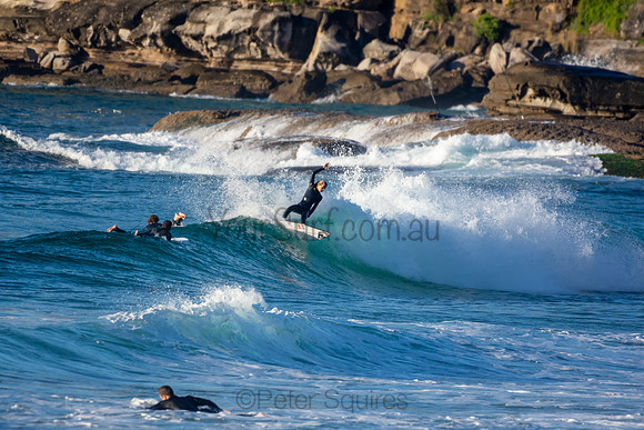 Whale Beach