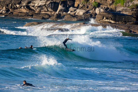 Whale Beach